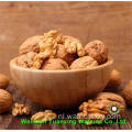 Hot Sale Goods Walnut Kernels Light Amber Helften (LAH)